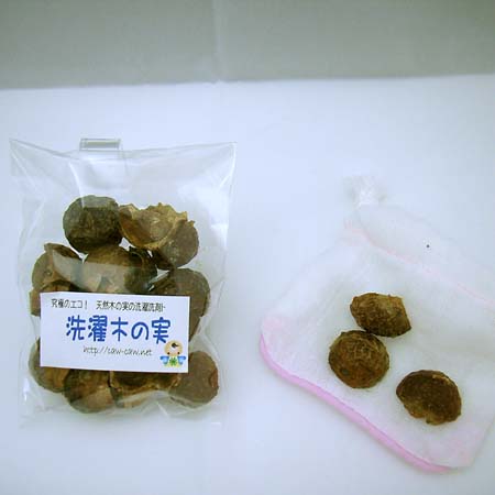 ���ɂ̃G�R�I�V�R�؂̎���܁@�y����؂̎��z�@30��