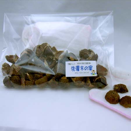 ���ɂ̃G�R�I�V�R�؂̎���܁@�y����؂̎��z�@90��