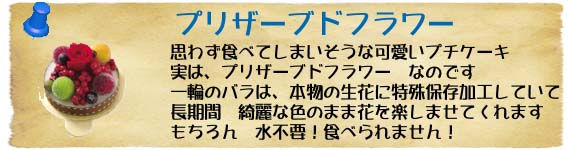 �v���U�[�u�h�t�����[�̏Љ